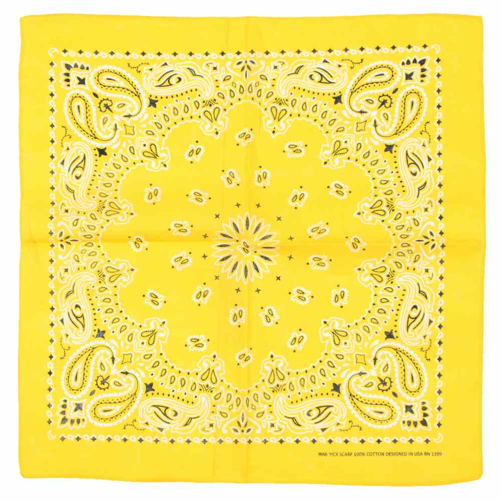 Zac's Alter Ego - Mustard Retro Paisley Bandana - Orange